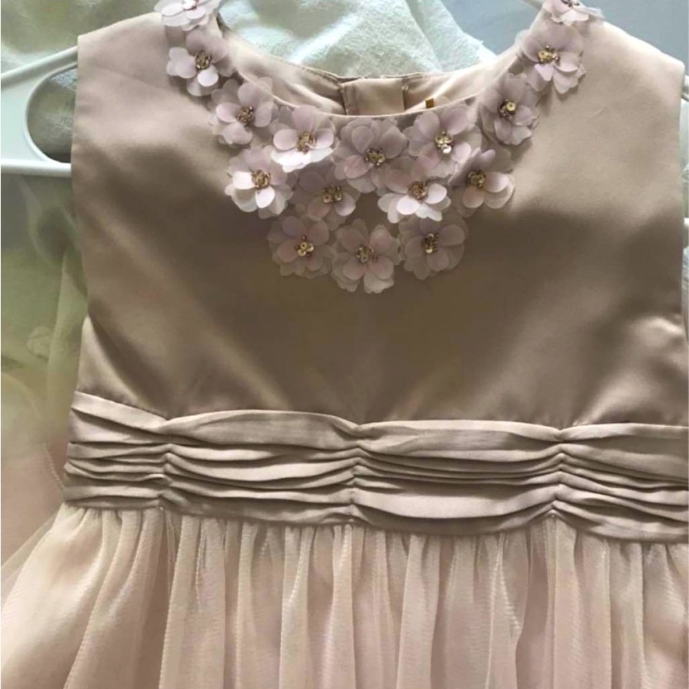 Pale pink flower girl dress